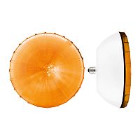 LED bulb FEU 2.0 300