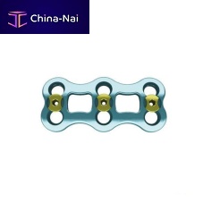 Cervical arthrodesis plate MERCURY2 levels