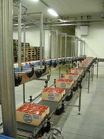 Chain conveyor horizontaltransportfor boxes