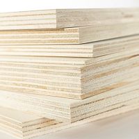 Wall plywood panel TUTTOPIOPPOfor ceilingconstructionhigh-resistance