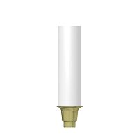 Plastic implant abutment CN-GP010conicalstraight