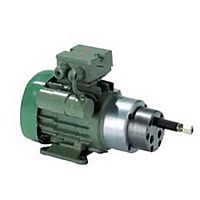 Gear pump P300 series oilelectricnormal priming