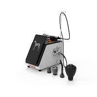Veterinary surgery laser FireLas Vetveterinary acupunctureveterinary dental surgerydiode