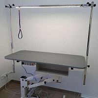 Lifting grooming table JE-04e electric