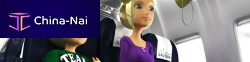 Aircraft cabin inflight entertainment for airliners