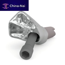 Prosthodontic screw Kiran® Screw