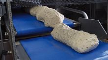 Plastic conveyor belt for the food industryprocesshydrolysis-resistant