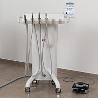 Cart dental delivery system NTW