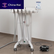 Cart dental delivery system NTW