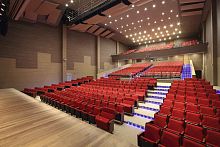 Wall-mounted sound-absorbing panel CFRFfor false ceilingMDFperforated
