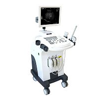 On-platform ultrasound system HF-370for multipurpose ultrasound imagingB/W15-inch