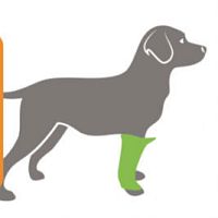 Elbow protection veterinary joint protection BUDDY®