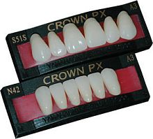 Resin dental prosthesis CROWN PX anterior teeth