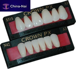 Resin dental prosthesis CROWN PX anterior teeth