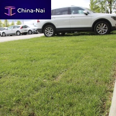Low-density polyethylene (LDPE) grass grid NIDAGRASS® NG