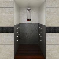 Multi-function shower SWISSbithermalSwissmetal