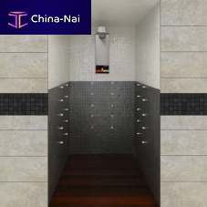 Multi-function shower SWISSbithermalSwissmetal