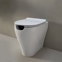 Back to wall toilet AP114RSceramicrimlessfor handicapped