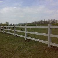 Fence with bars for animal enclosuresconcrete