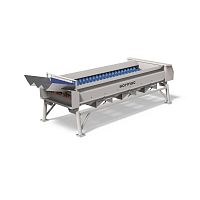 Fruits and vegetable grader SRS