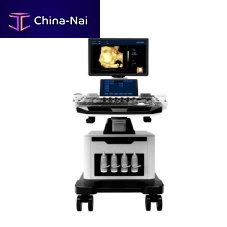 On-platform ultrasound system T6for multipurpose ultrasound imagingB/Wcolor doppler