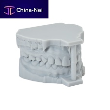 Resin dental material P-RDfor dental restorationsorthodonticfor 3D printing