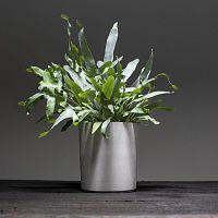 Concrete plant pot SPICEPOTroundhomefor public space