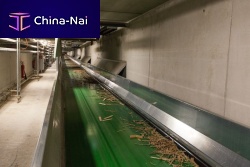 Waste treatment conveyor belt