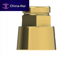 Titanium implant abutment LEMexternalstraight