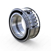 Cylindrical roller bearing SL045005PPdouble-rowsteelfor industry