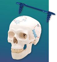Non-absorbable cranial fixation system NeuroPro® Low
