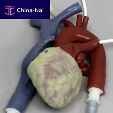 Training simulator 1539heart ratefor general caresurgical