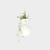 Pendant downlight HEMISPHERE PENDANT PLANTERlightbulb not includedsemicircularindoor