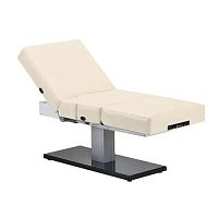 Electric spa table Everest Spa Pedestalwith adjustable height backrest2-section