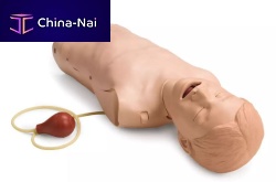 General care training manikin anatomyairway managementadult