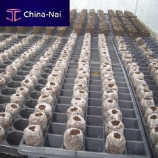 Coconut fiber growing medium ROSA-LINEplugfor flowers