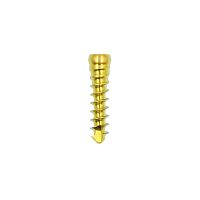 Cervical compression bone screw JQL- titanium
