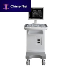 On-platform ultrasound system FTL-UTS1000for gynecological and obstetric ultrasound imagingfor abdominal and pelvic ultrasound imagingfor cardiovascular ultrasound imaging