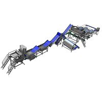 Green bean processing line