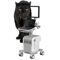 On-platform veterinary ultrasound system MyLabPanthermultipurposefor small animalsfor large animals