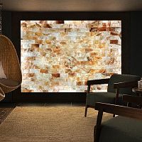 Commercial salt wall