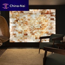 Commercial salt wall