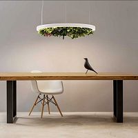 Pendant lamp GAVIN SILENCE LEAFironmethacrylatebiophilic design
