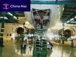 Maintenance stepladder for airplane