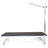 Lifting grooming table TAVPET001electric