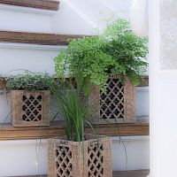 Wooden plant pot JALIsquarerectangular