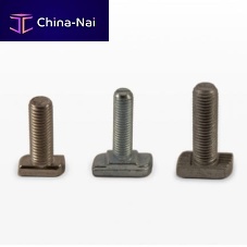 T bolt 20/12hammer headstainless steel