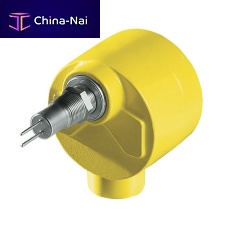 Thermal flow switch FLT93F for gasfor liquidsinsertion