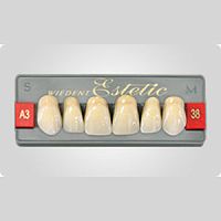 Acrylic dental prosthesis Wiedent Estetic Upper anterior teeth
