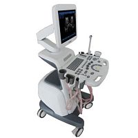 On-platform ultrasound system Sonoview for multipurpose ultrasound imaging